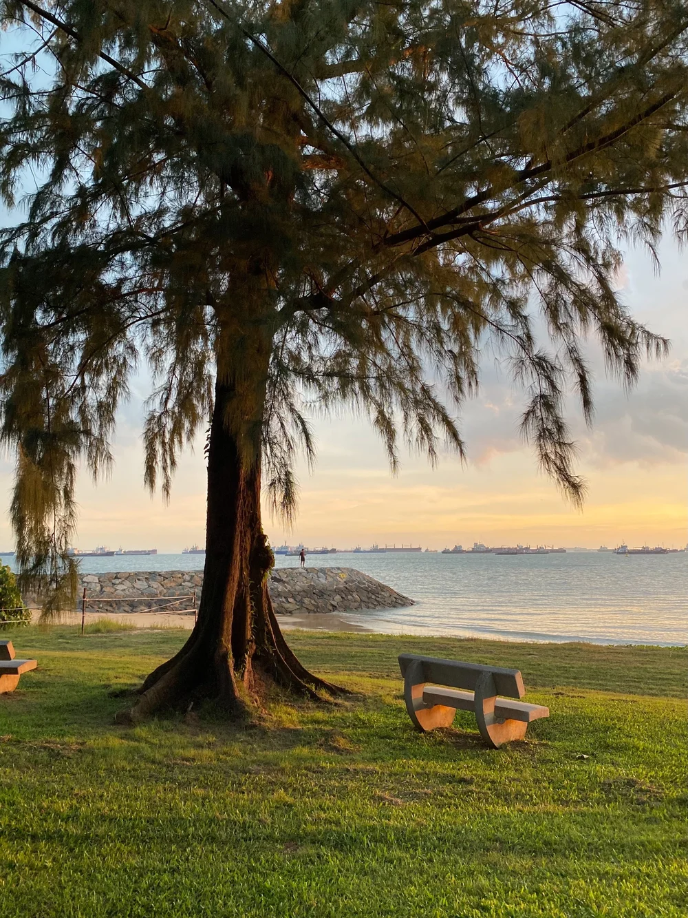 Coucher de soleil a East Coast Park